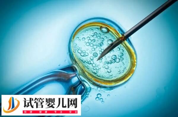 試管嬰兒智商是不是比正常孩子低(圖1)