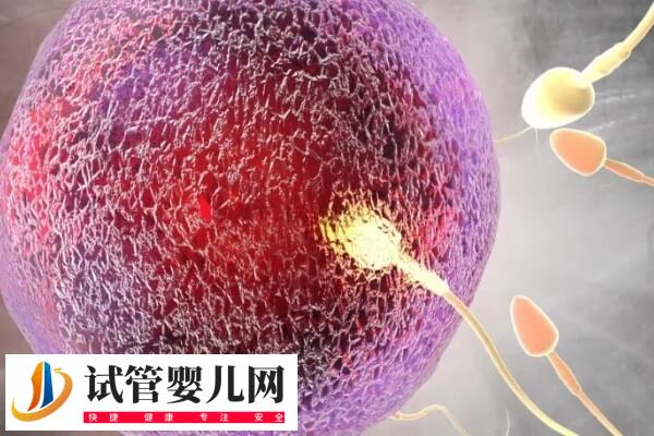 試管為什么有的人一次成功(圖1)