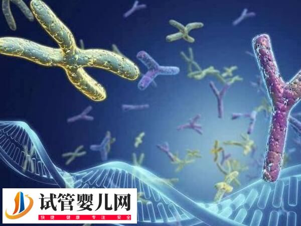 Y染色體微缺失能否做試管(圖1)
