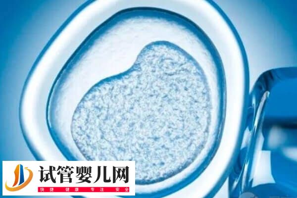 做試管胎停是胚胎質量問題(圖2)
