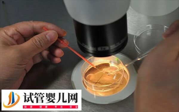 取了2個卵成功率有多少(圖1)