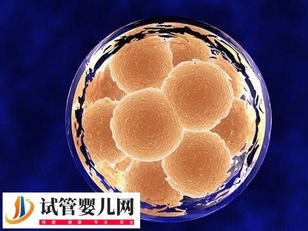 凍胚移植的流程是怎樣的(圖1)