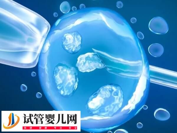 凍胚移植的流程是怎樣的(圖2)