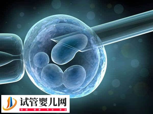 移植胚胎碎片率高會(huì)怎么樣(圖2)