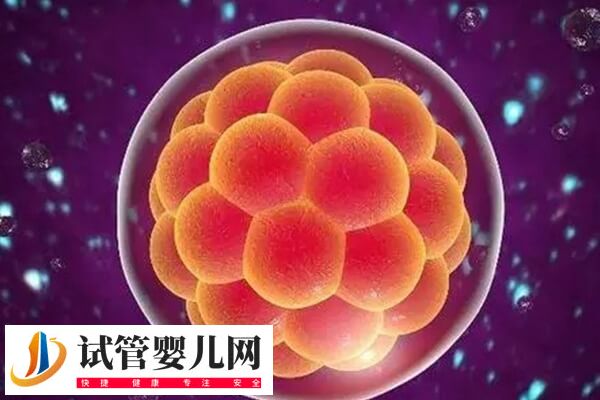 囊胚移植著床后有什么癥狀(圖2)