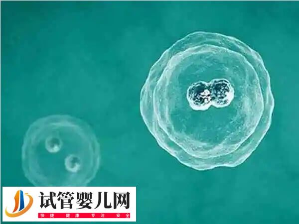 囊胚移植著床后有什么癥狀(圖3)