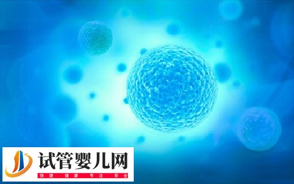 4bc囊胚移植成功率高不高(圖1)