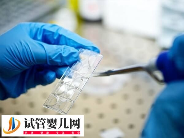 自然周期囊胚移植流程是怎樣的(圖1)