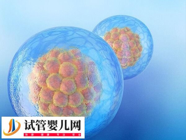 自然周期囊胚移植流程是怎樣的(圖2)