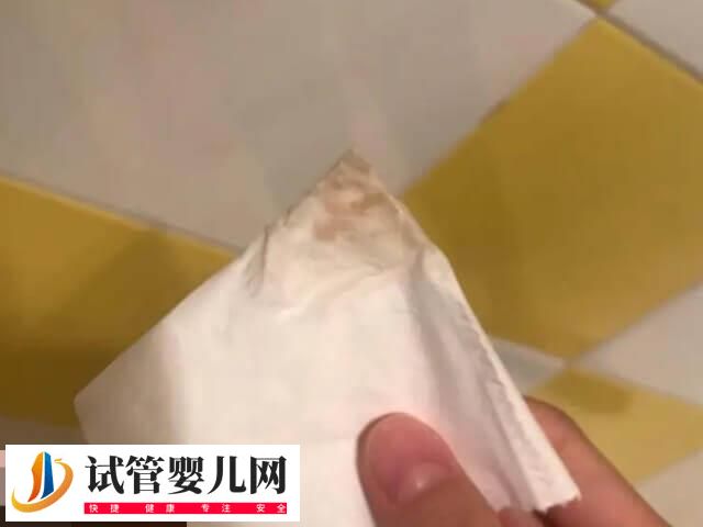 試管期間有褐色分泌物的原因分析，是否正常一篇講清楚(圖1)