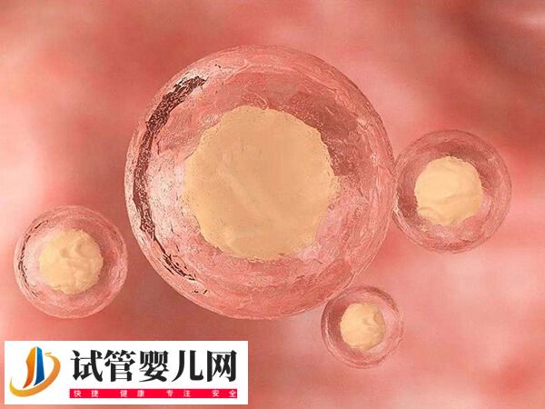 胚胎移植第21天可不可以做b超(圖1)