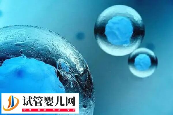體外培養(yǎng)7天的囊胚質(zhì)量怎么樣(圖2)