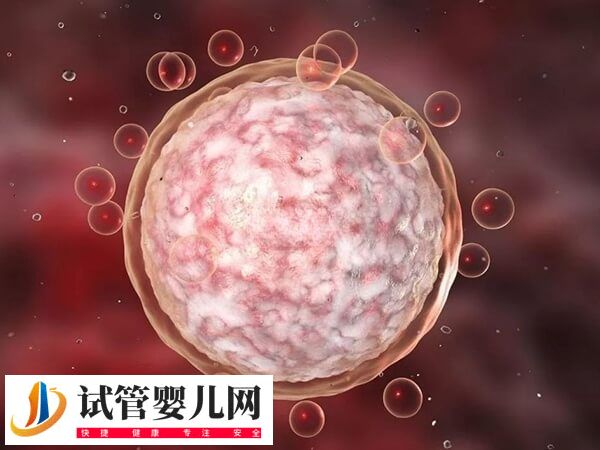 胚胎碎片率30能否移植成功(圖2)