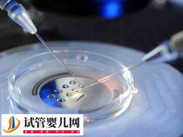 胚胎碎片率30能否移植成功(圖1)