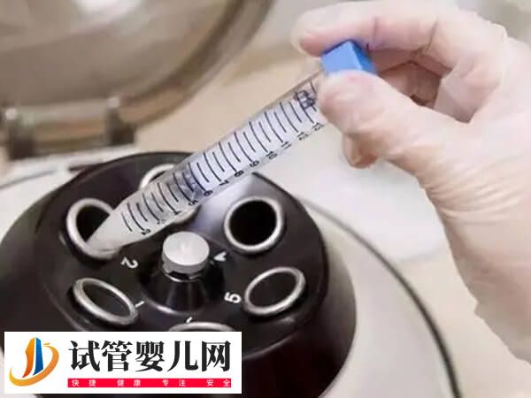 胚胎碎片率30能否移植成功(圖3)
