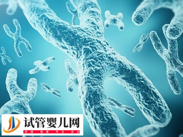 三代試管能不能篩查骨軟骨瘤(圖1)