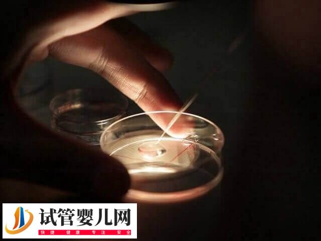 5個受精卵養(yǎng)囊成功2個怎么回事(圖2)