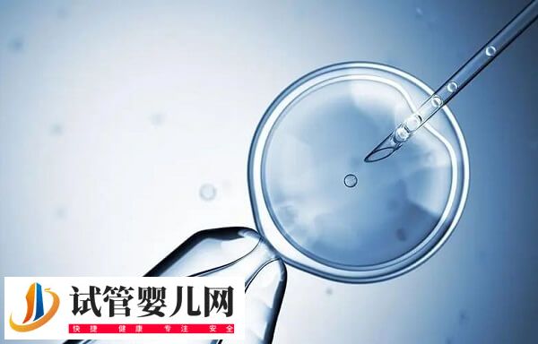 鮮胚6c2和7c2質量怎么樣(圖1)