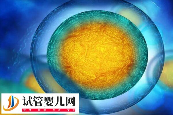 做試管胚胎是如何移植的(圖1)