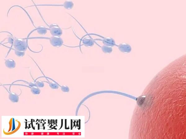 自然周期什么時候移植胚胎好(圖1)