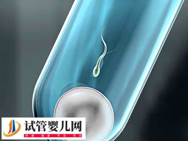 子宮腺肌癥移植能否2個(gè)鮮胚懷雙胎(圖1)