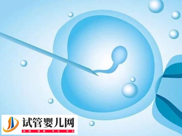 微刺激方案促排取卵有哪幾步(圖1)