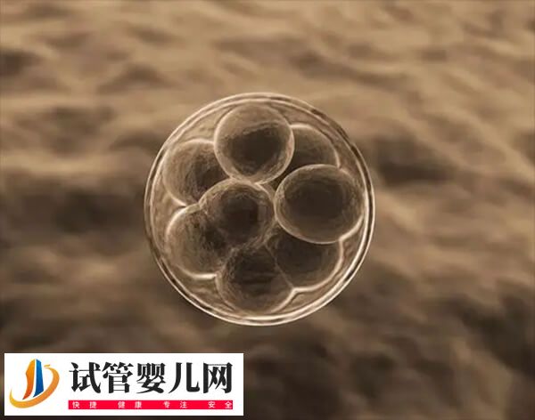 試管嬰兒需要取卵幾次(圖1)