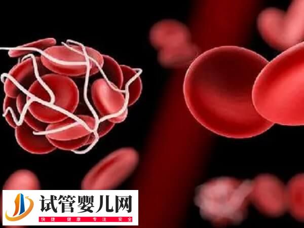 胚胎移植后為何不能一直躺(圖1)