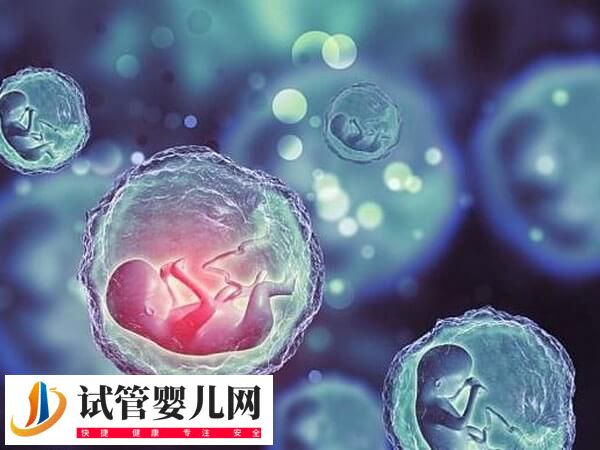 鮮胚和囊胚移植的優(yōu)缺點(diǎn)有哪些(圖1)
