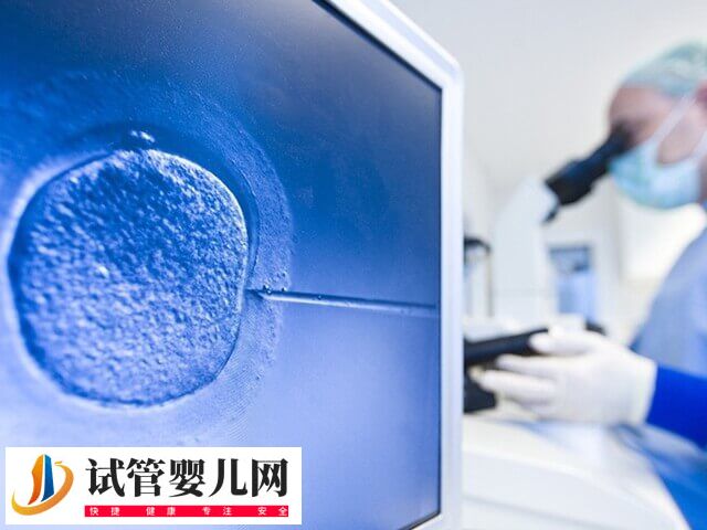 取卵對人體的傷害大不大(圖2)