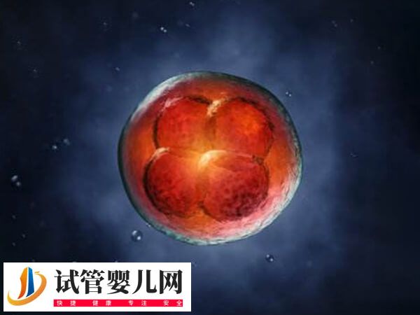 為什么試管移植第一次都不著床(圖1)