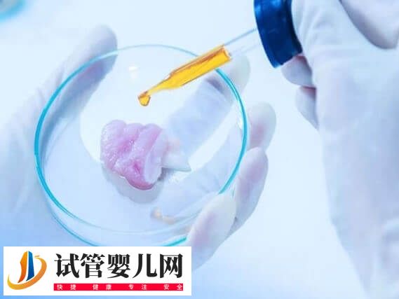 胚胎移植后剩余的胚胎怎么處理(圖1)