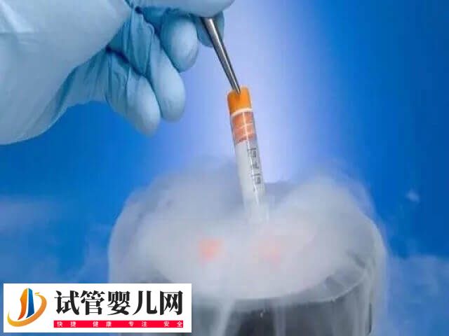 胚胎移植后剩余的胚胎怎么處理(圖2)