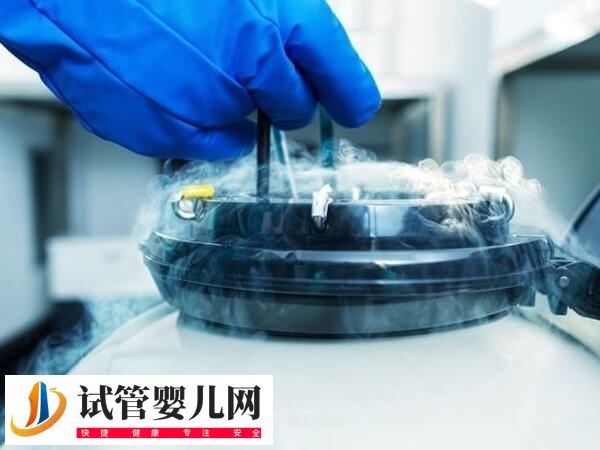 胚胎冷凍可以保存幾年(圖1)