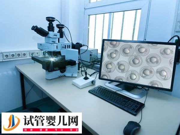 試管嬰兒移植前胚胎如何評分(圖2)