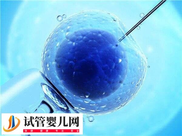 3代試管嬰兒能否排除唇腭裂(圖1)
