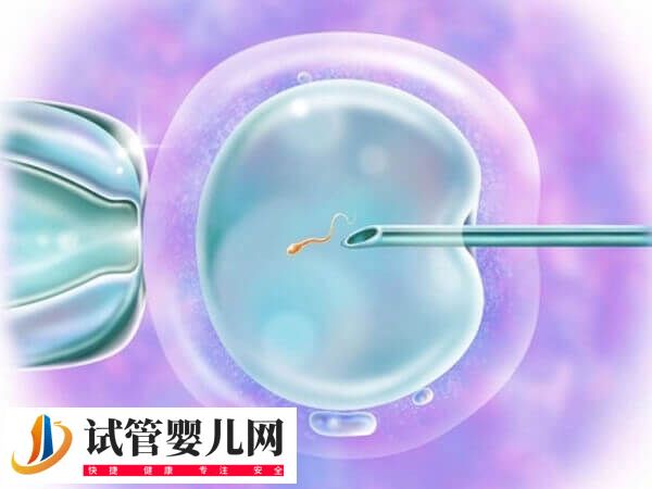 死精弱精要不要做二代試管(圖1)