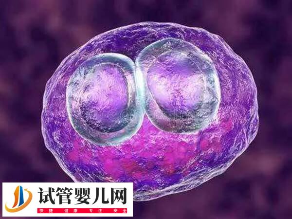 促排當月就移植入子宮好不好