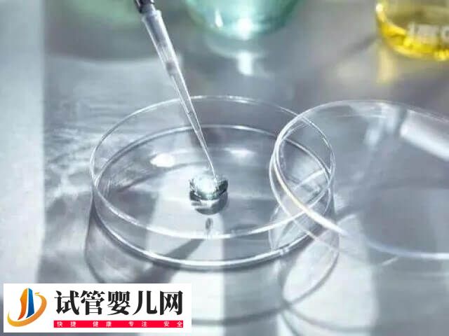 三代試管10萬元能否成功