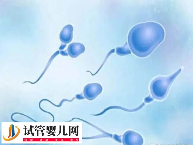 2025年試管嬰兒費用大約多少(圖2)