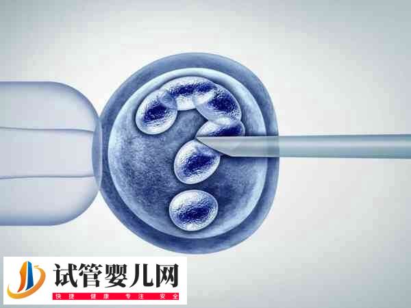 2025年試管嬰兒費用大約多少