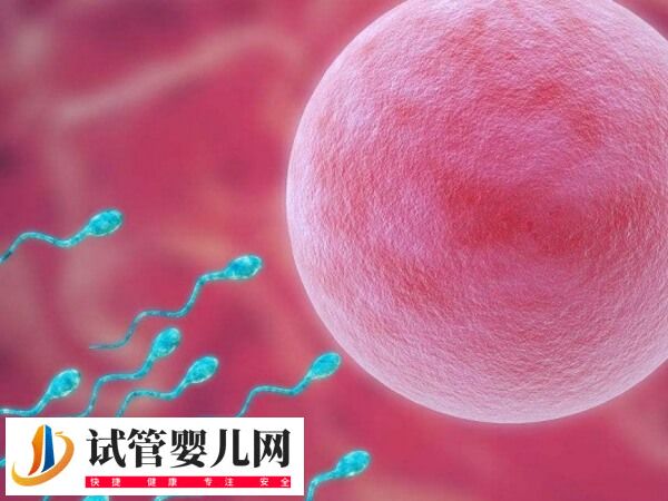 二代試管5aa胚胎質(zhì)量怎么樣