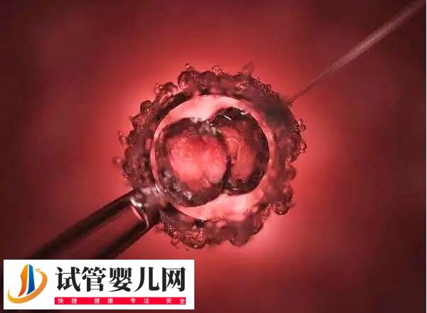 二代試管5aa胚胎質(zhì)量怎么樣(圖2)