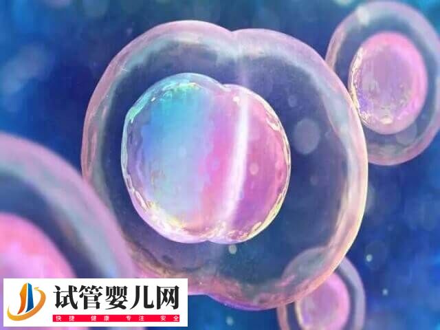 謹慎移植的成功率有多少(圖2)