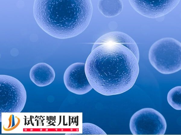 二胎移囊胚是一個還是2個好