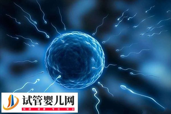 試管移植十六天腰發(fā)麻的疼正不正常