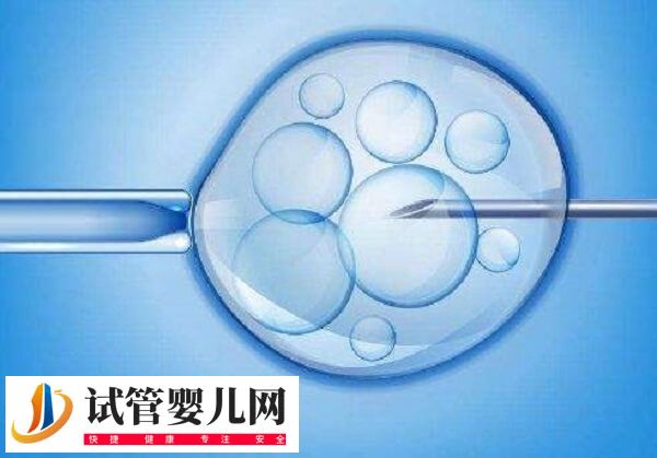 54歲試管嬰兒龍鳳胎在哪個醫院