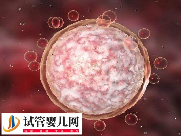 做試管嬰兒要不要檢測卵泡(圖2)