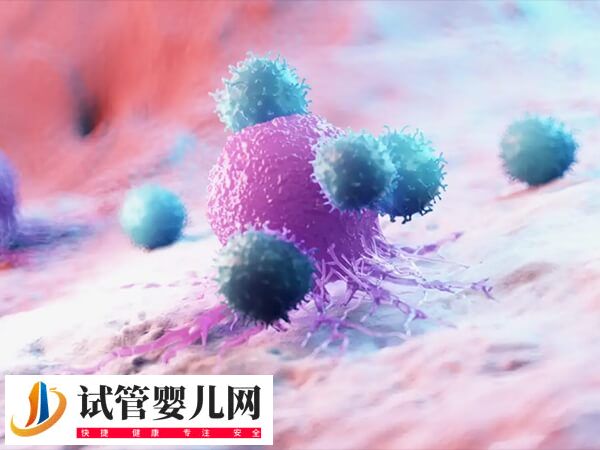 備孕外周血nk細(xì)胞比例高好還是低好？(圖1)