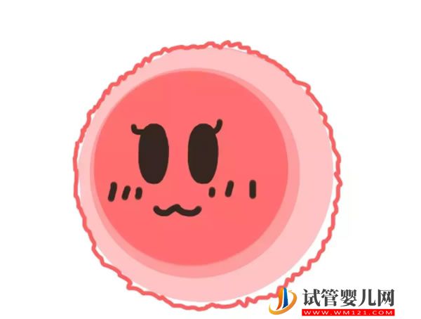 孕前預防很重要，引發x染色體三體綜合征原因剖析 (圖4)